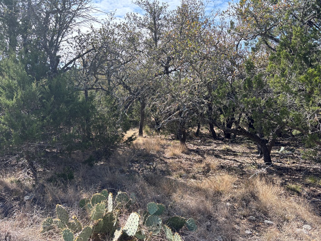 5745 Other Rocksprings, TX 78880 - Photo 22 of 28