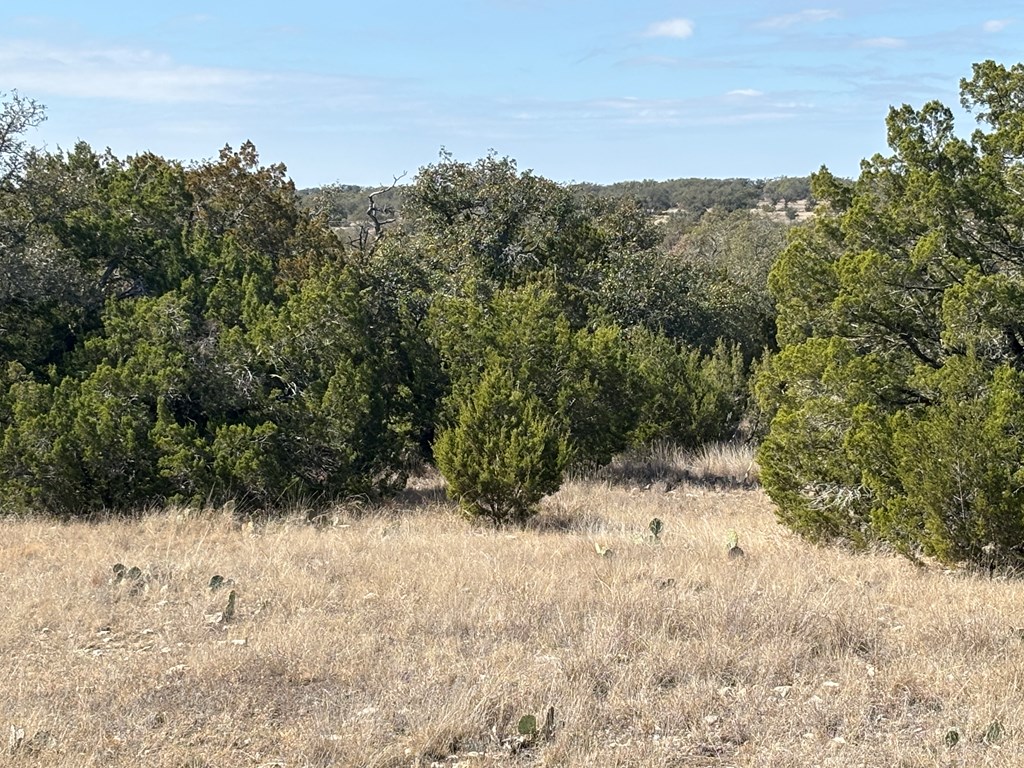 5745 Other Rocksprings, TX 78880 - Photo 23 of 28