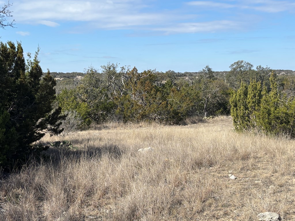 5745 Other Rocksprings, TX 78880 - Photo 24 of 28