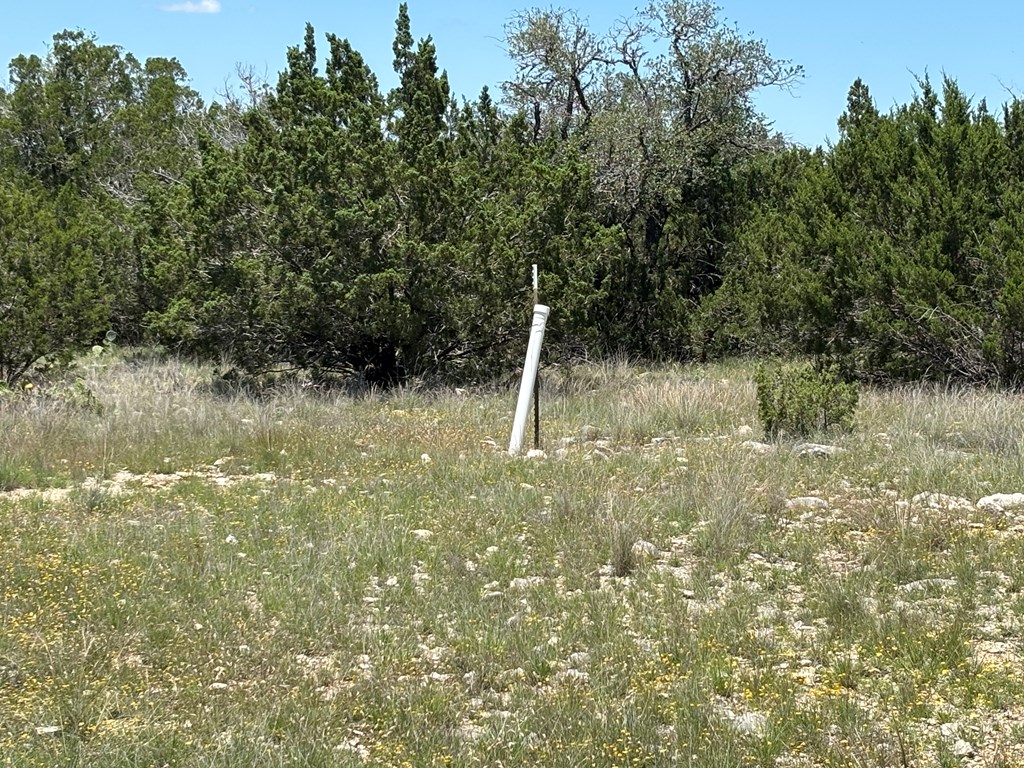 5745 Other Rocksprings, TX 78880 - Photo 24 of 29
