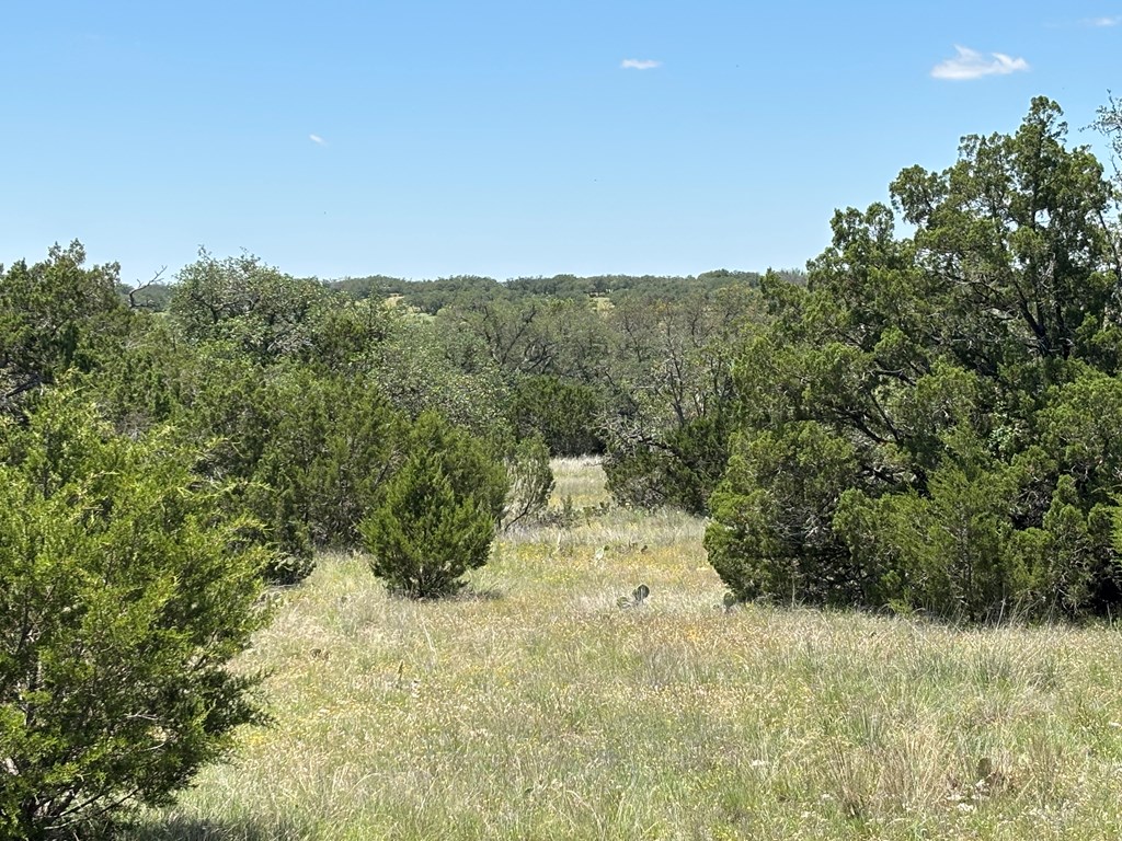 5745 Other Rocksprings, TX 78880 - Photo 25 of 29
