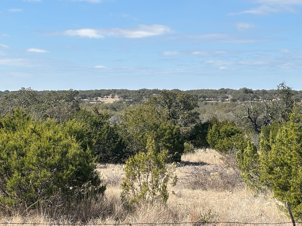 5745 Other Rocksprings, TX 78880 - Photo 25 of 28