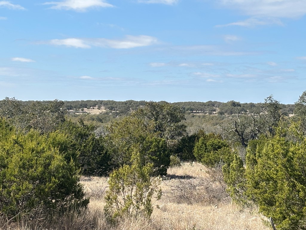 5745 Other Rocksprings, TX 78880 - Photo 26 of 28