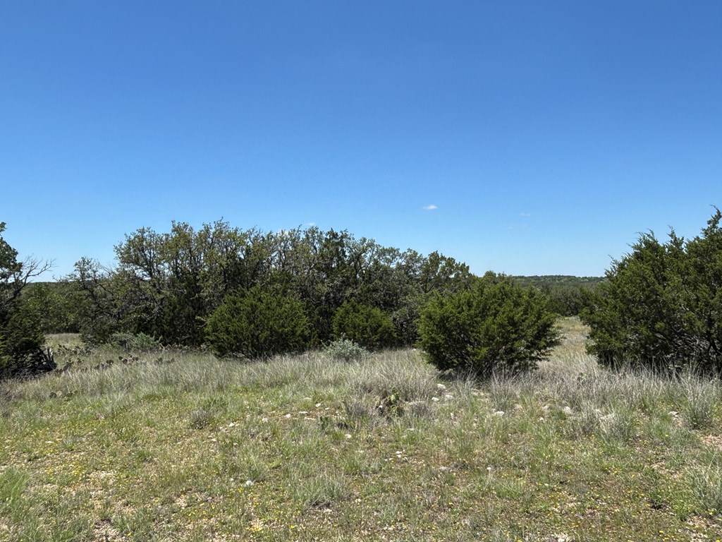 5745 Other Rocksprings, TX 78880 - Photo 26 of 29