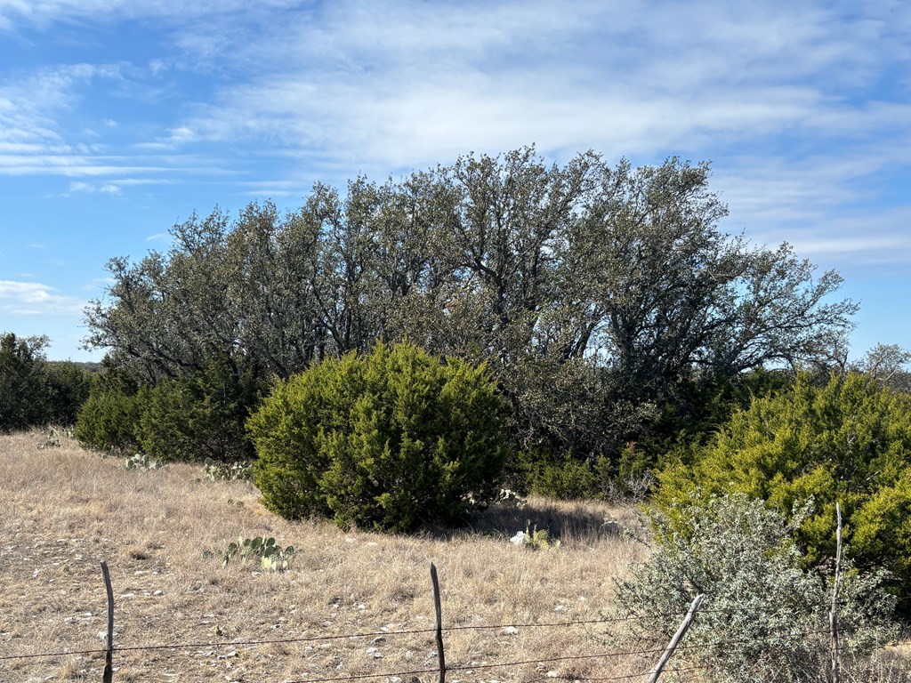 5745 Other Rocksprings, TX 78880 - Photo 27 of 28