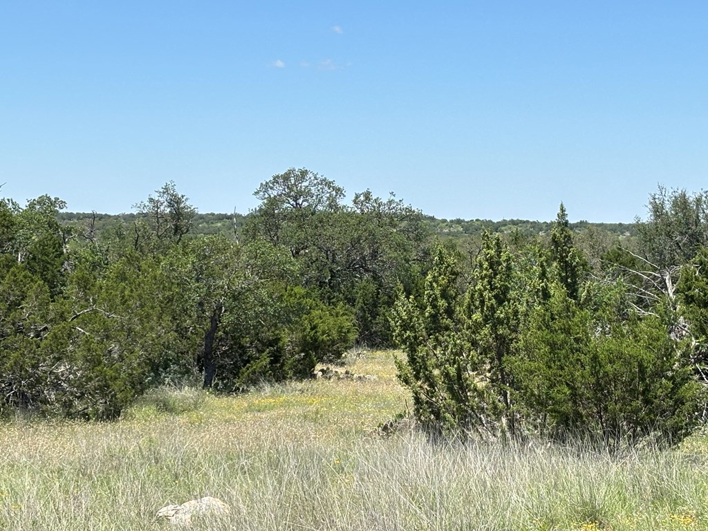 5745 Other Rocksprings, TX 78880 - Photo 27 of 29