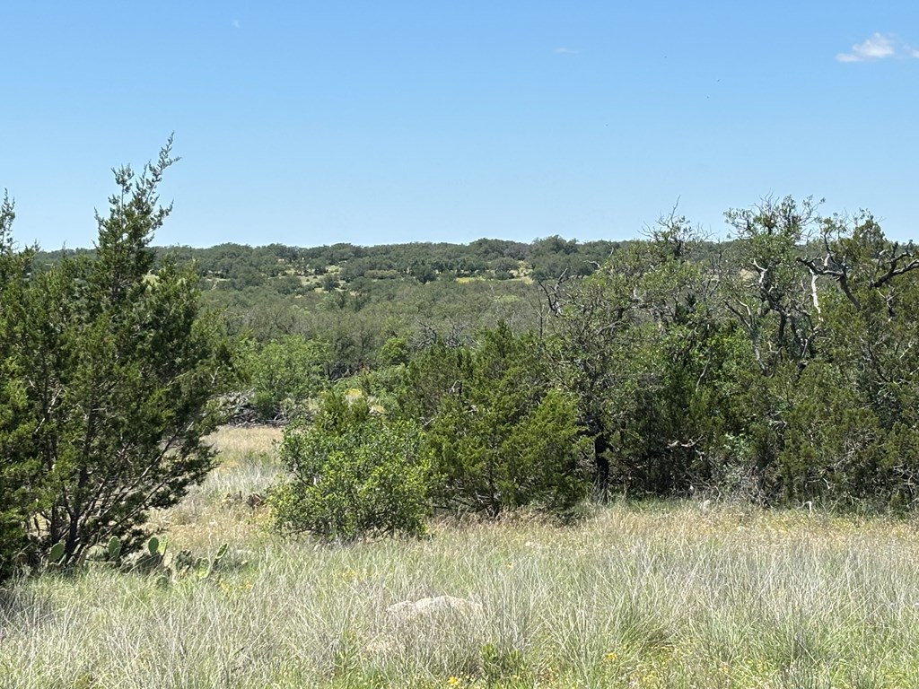 5745 Other Rocksprings, TX 78880 - Photo 28 of 29