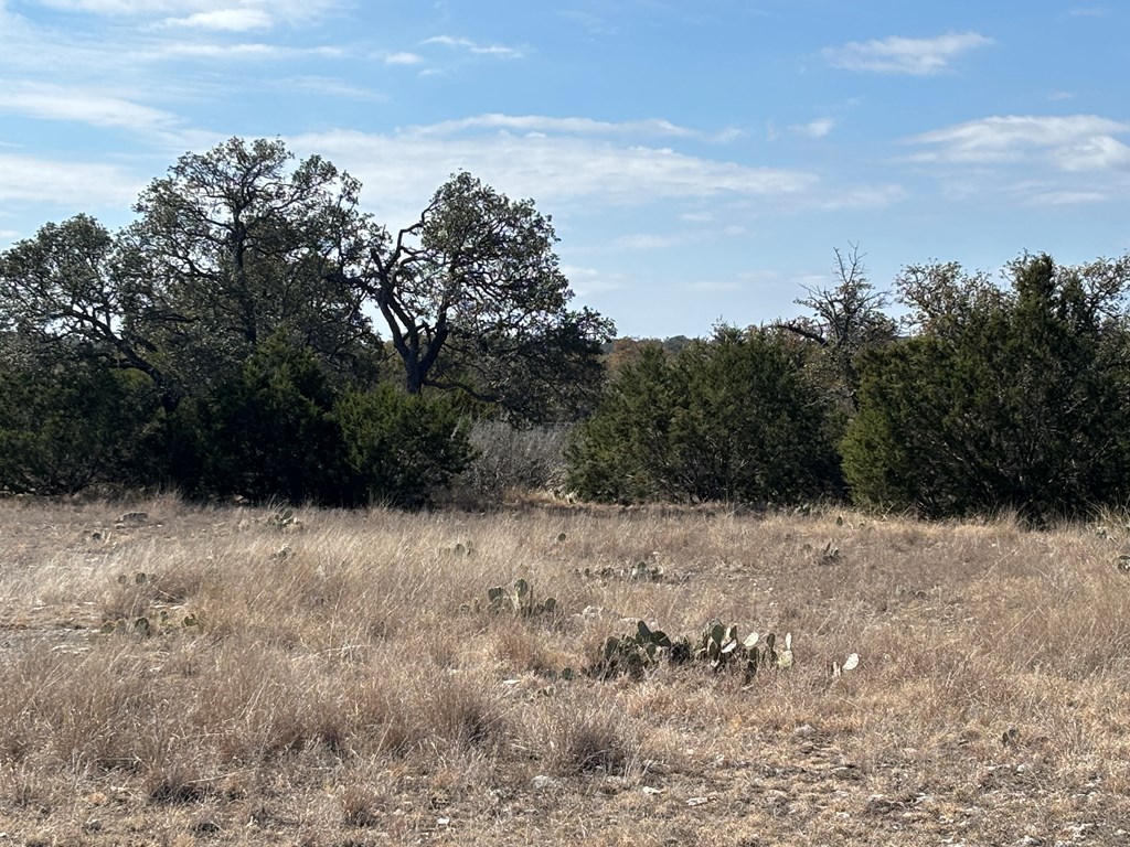 5745 Other Rocksprings, TX 78880 - Photo 28 of 28
