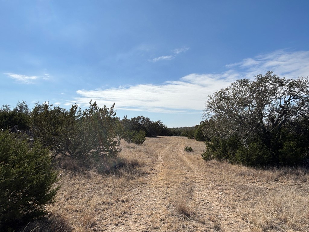 5745 Other Rocksprings, TX 78880 - Photo 3 of 28