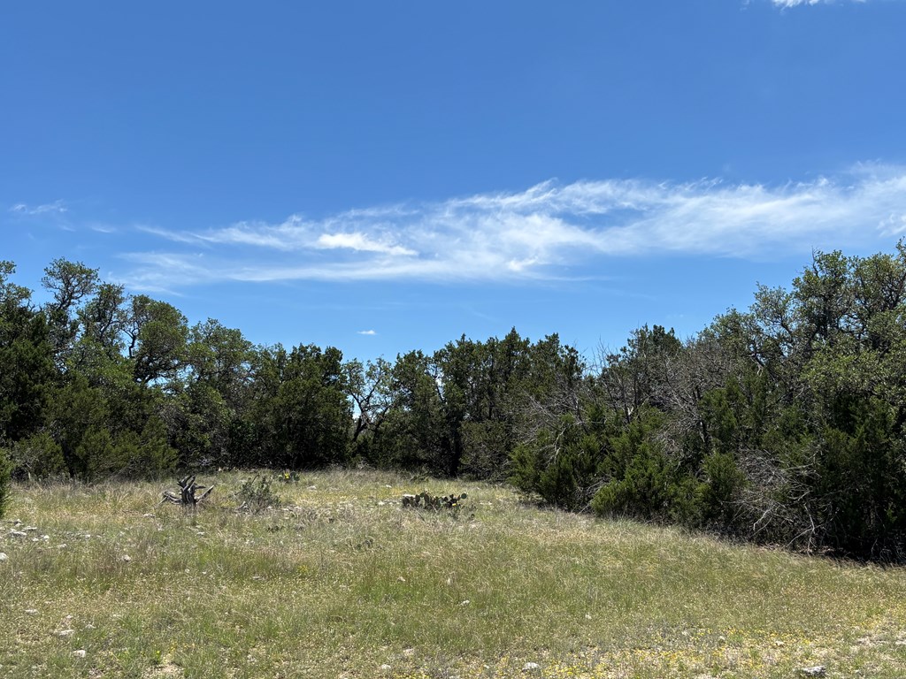 5745 Other Rocksprings, TX 78880 - Photo 3 of 29