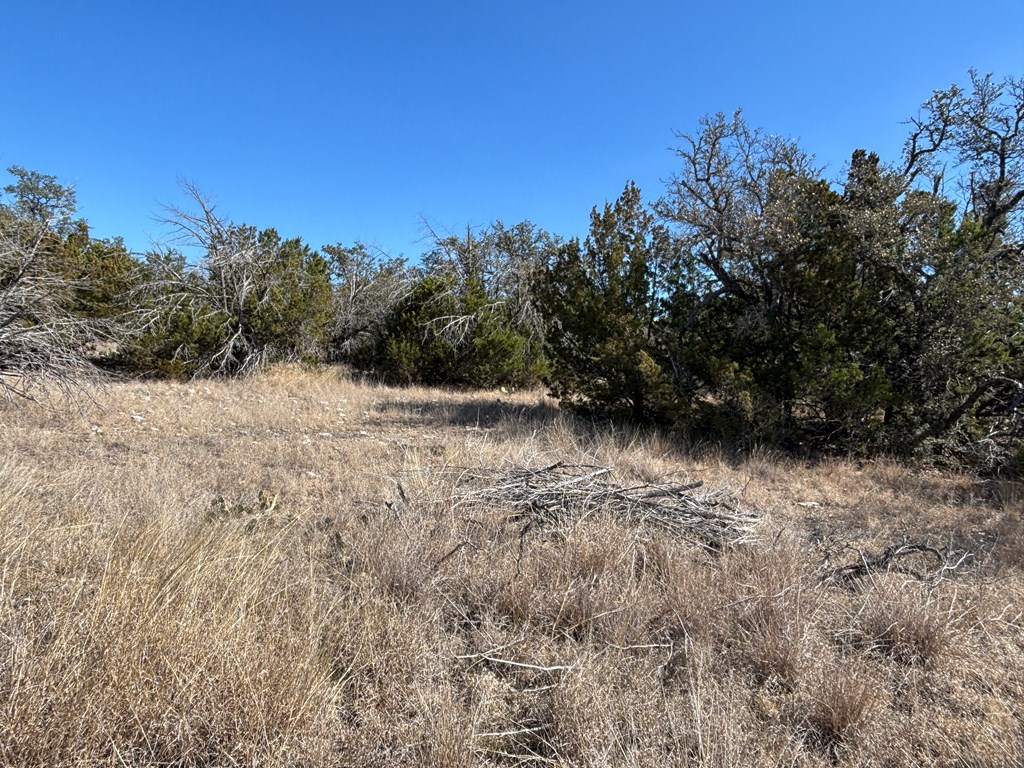 5745 Other Rocksprings, TX 78880 - Photo 4 of 28