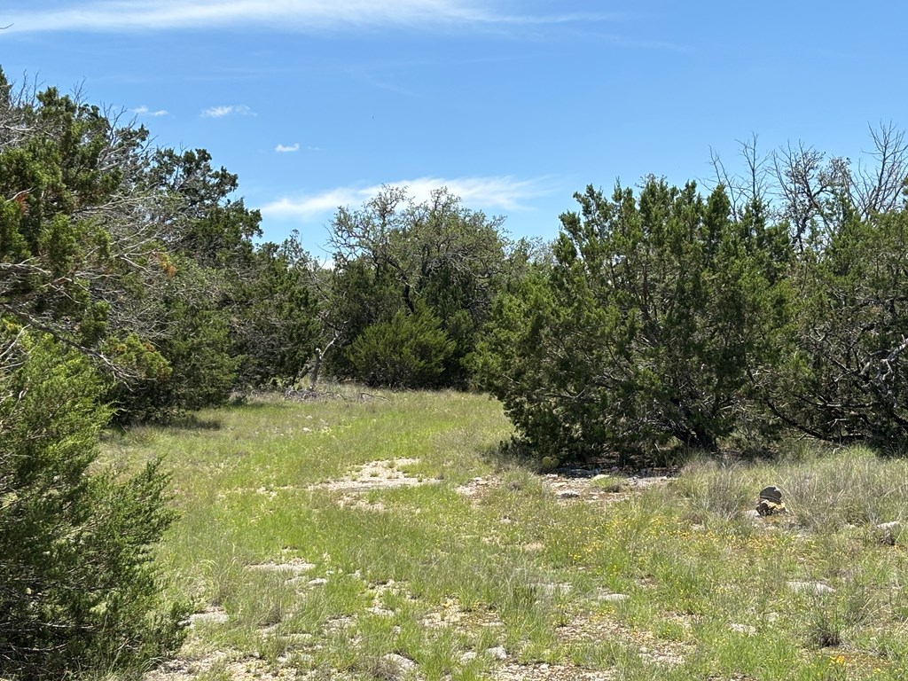 5745 Other Rocksprings, TX 78880 - Photo 4 of 29