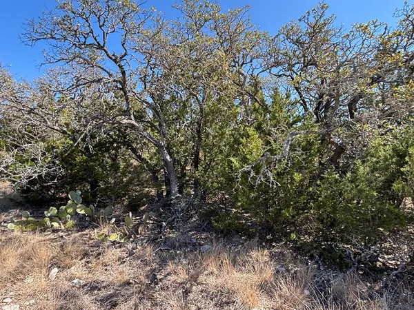 $120,500 | 5745 Other, Rocksprings, TX 78880