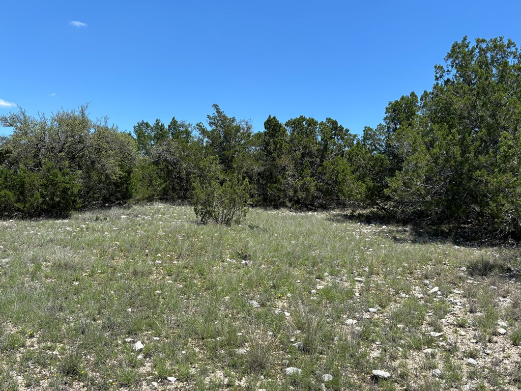 5745 Other Rocksprings, TX 78880 - Photo 5 of 29