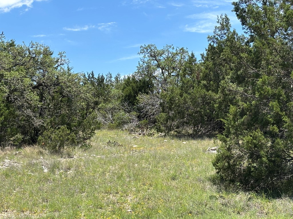 5745 Other Rocksprings, TX 78880 - Photo 6 of 29