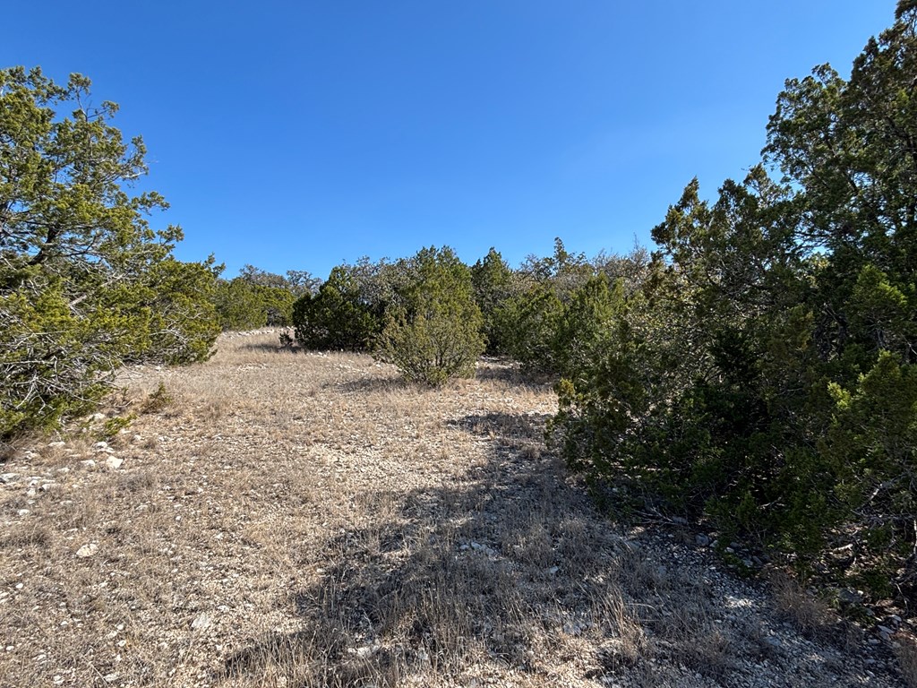5745 Other Rocksprings, TX 78880 - Photo 6 of 28