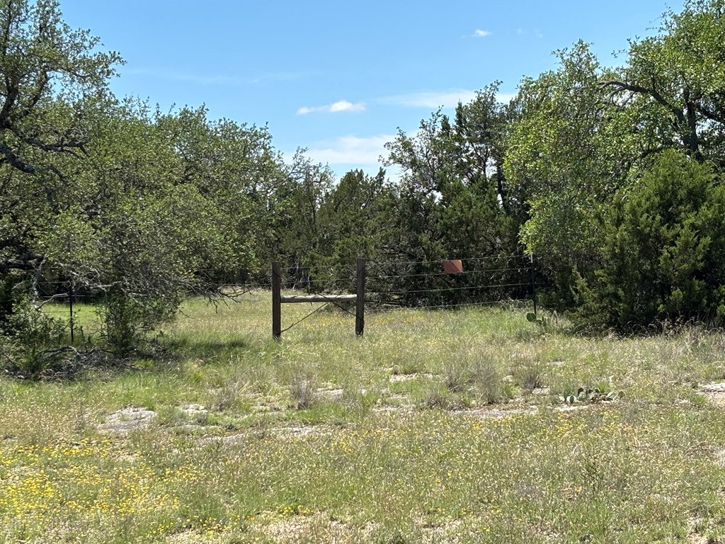 5745 Other Rocksprings, TX 78880 - Photo 7 of 29