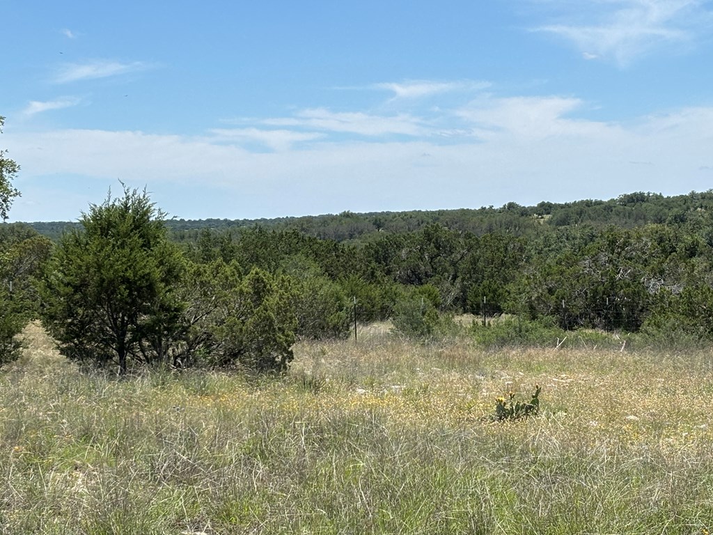 5745 Other Rocksprings, TX 78880 - Photo 8 of 29
