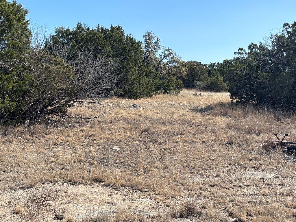 5745 Other Rocksprings, TX 78880 - Photo 8 of 28