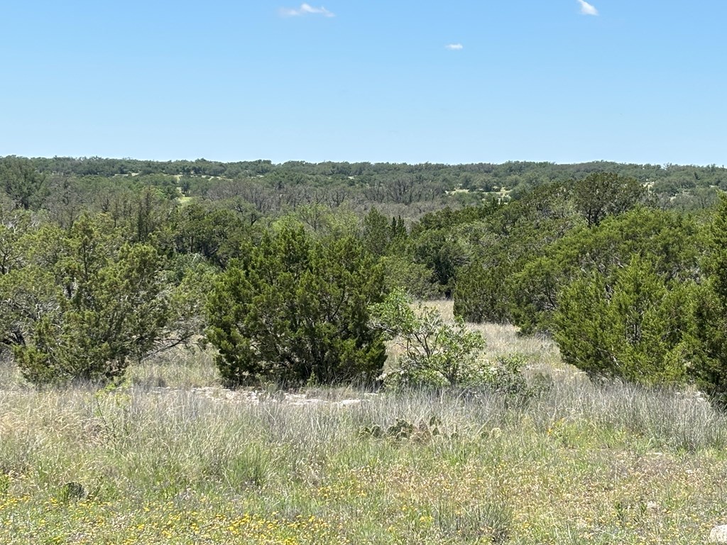 5745 Other Rocksprings, TX 78880 - Photo 9 of 29