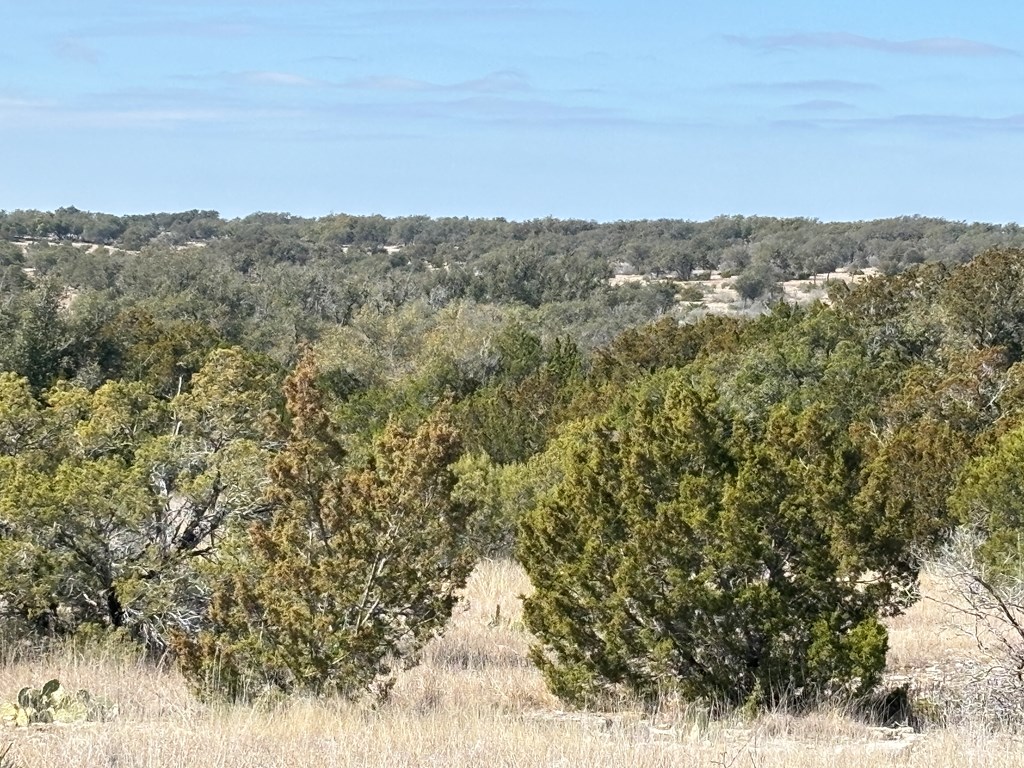 5745 Other Rocksprings, TX 78880 - Photo 9 of 28