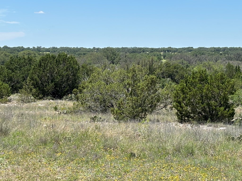 5745 Other Rocksprings, TX 78880 - Photo 10 of 29