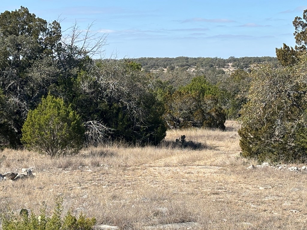 5745 Other Rocksprings, TX 78880 - Photo 10 of 28