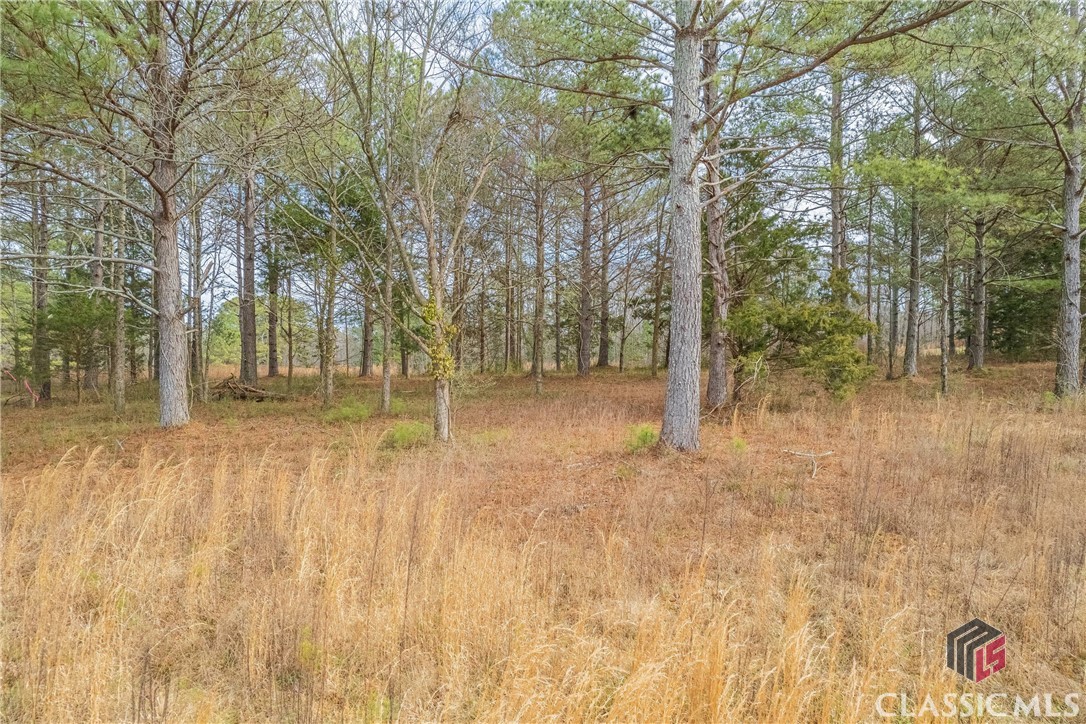 460 Old Airport Road, Unit LOT 3 Commerce, GA 30530 - Photo 15 of 36