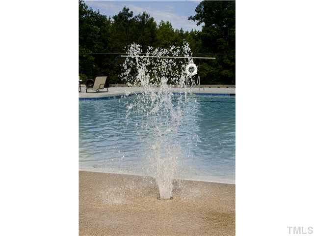 307 Morgan Brook Way Rolesville, NC 27571 - Photo 12 of 18