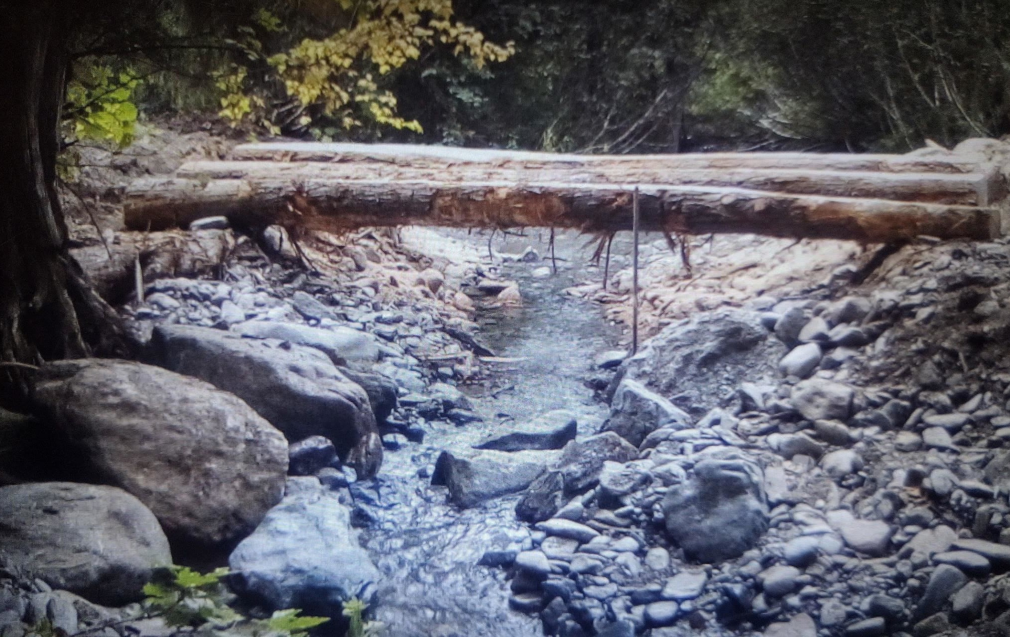 7149 Cedar Creek Road Colville, WA 99114 - Photo 1 of 15