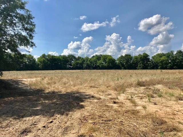 Lot 3 Skipper Road Dothan, AL 36301 - Photo 1 of 4