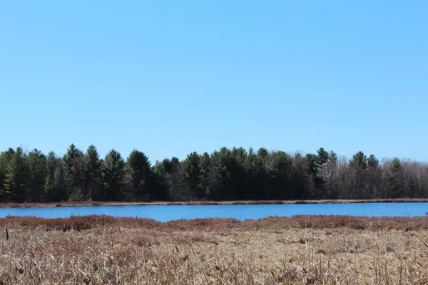 $140,900 | 24029 Dan Johnson Road, Webster, WI 54893