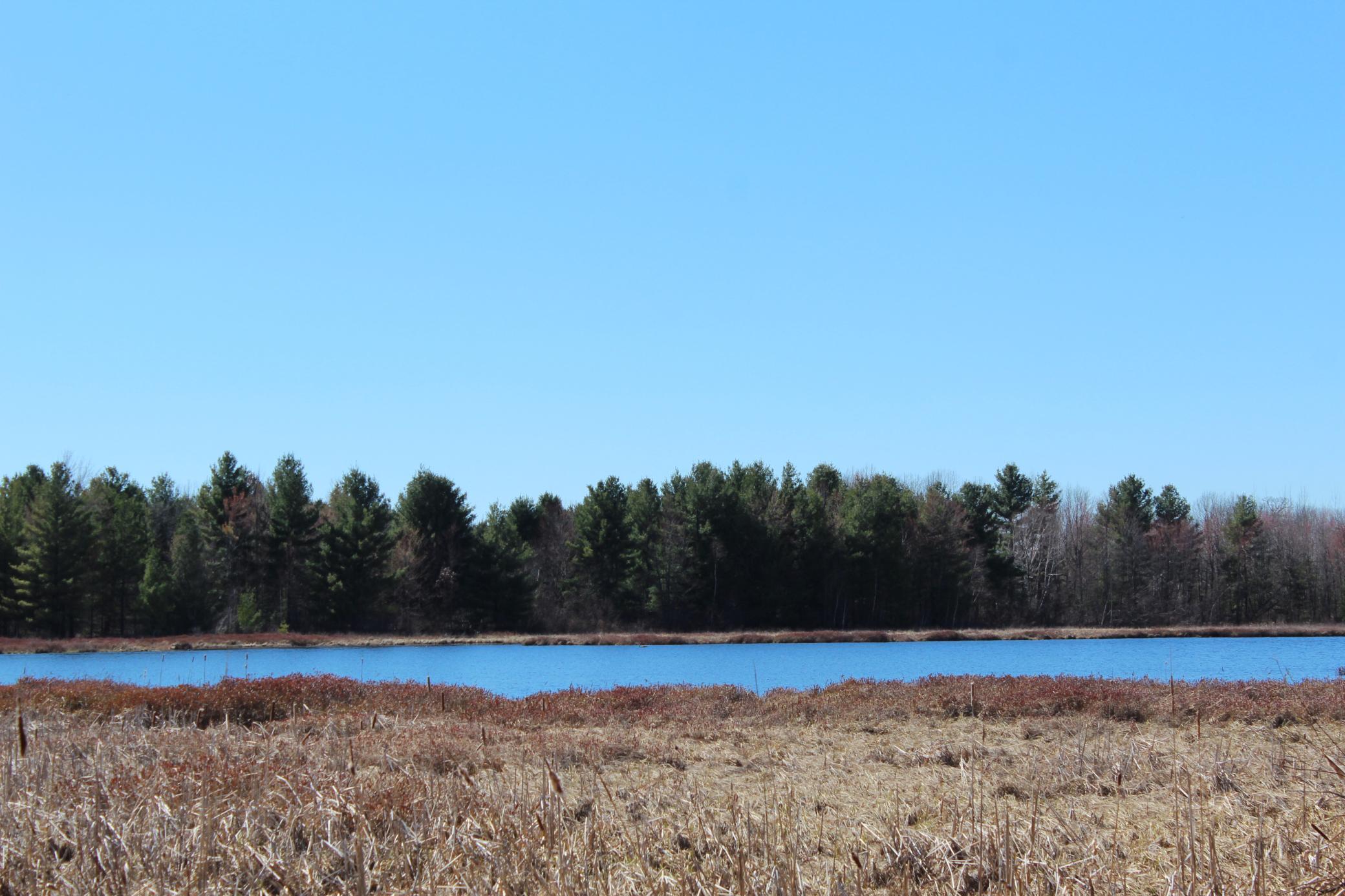 24029 Dan Johnson Road Webster, WI 54893 - Photo 19 of 21