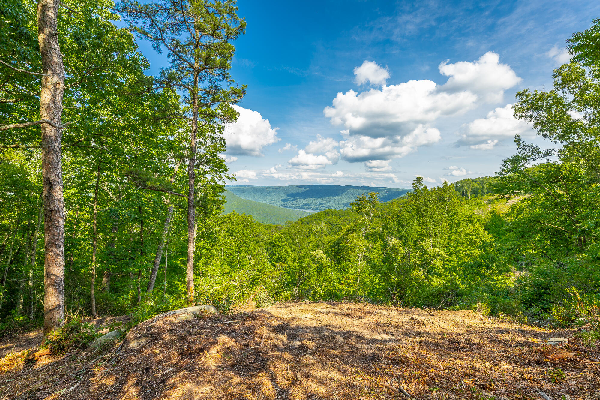 0 Back Basin Trail, Unit LOT 1244 Chattanooga, TN 37419 - Photo 25 of 119 MCW Correction HD-29
