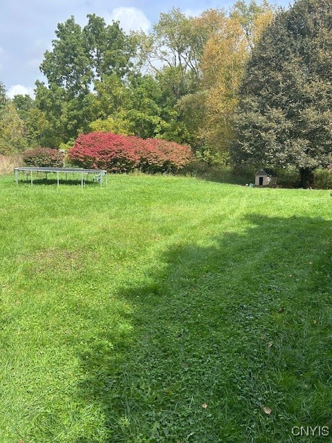 2917 Ryan Road Brutus, NY 13166 - Photo 15 of 19