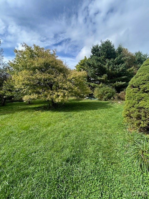 2917 Ryan Road Brutus, NY 13166 - Photo 16 of 19