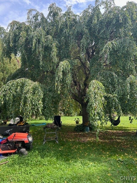 2917 Ryan Road Brutus, NY 13166 - Photo 17 of 19