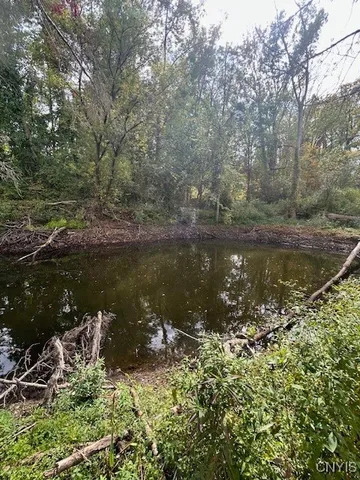 $280,000 | 2917 Ryan Road, Brutus, NY 13166