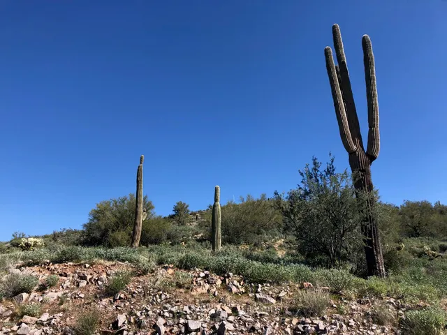 $325,000 | 3863 South Avenue De Angeles, Unit 103, Gold Canyon, AZ 85118