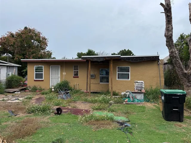 a view of a backyard with potted plants and a large tree