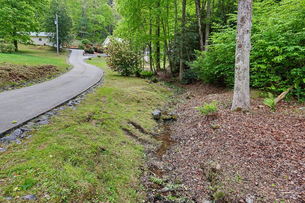 522 Fred Amos Road Murphy, NC 28906 - Photo 21 of 73 a big yard with lots of green space and trees