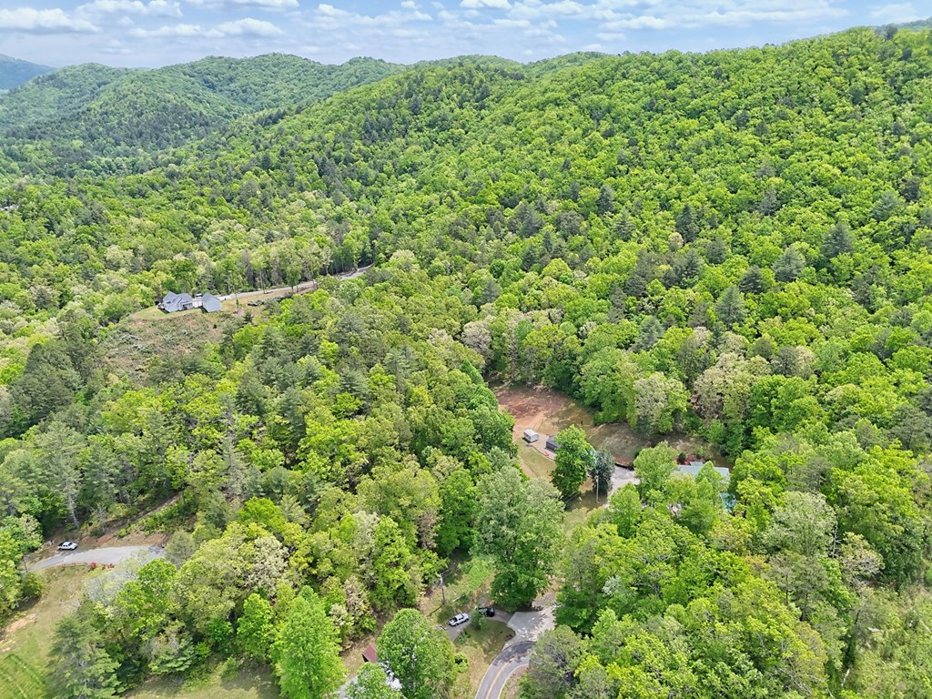 522 Fred Amos Road Murphy, NC 28906 - Photo 31 of 73 a view of a lush green forest