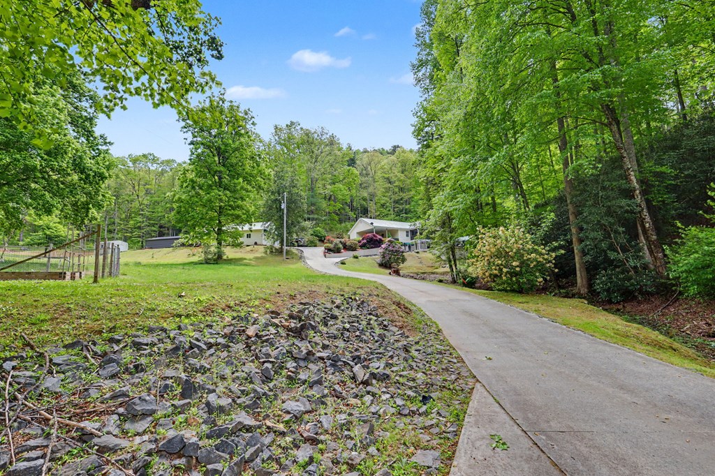 522 Fred Amos Road Murphy, NC 28906 - Photo 35 of 73 a view of a backyard with a garden