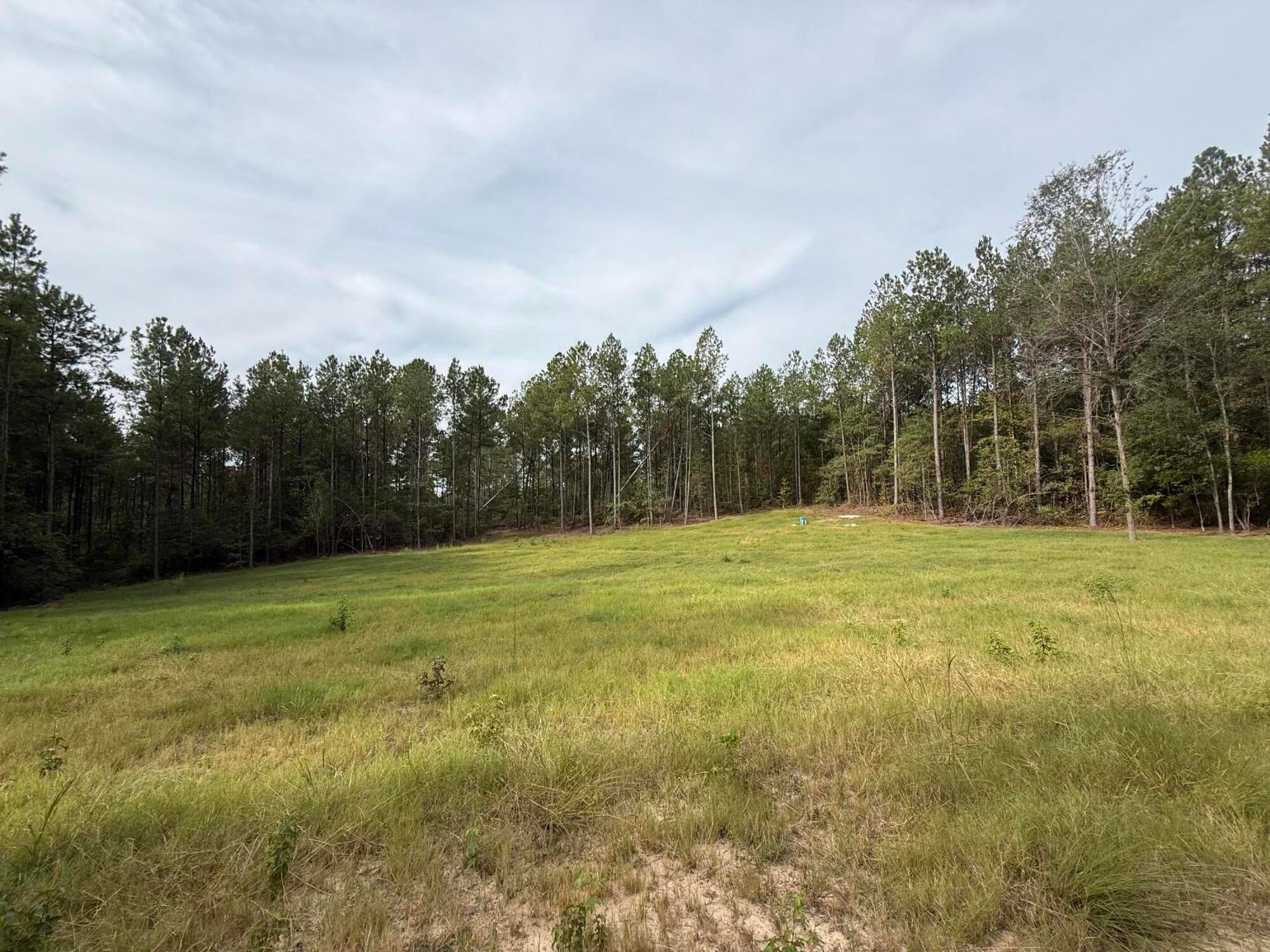 Tbd New Holland Road Aiken, SC 29805 - Photo 6 of 7 Gallery Image 6