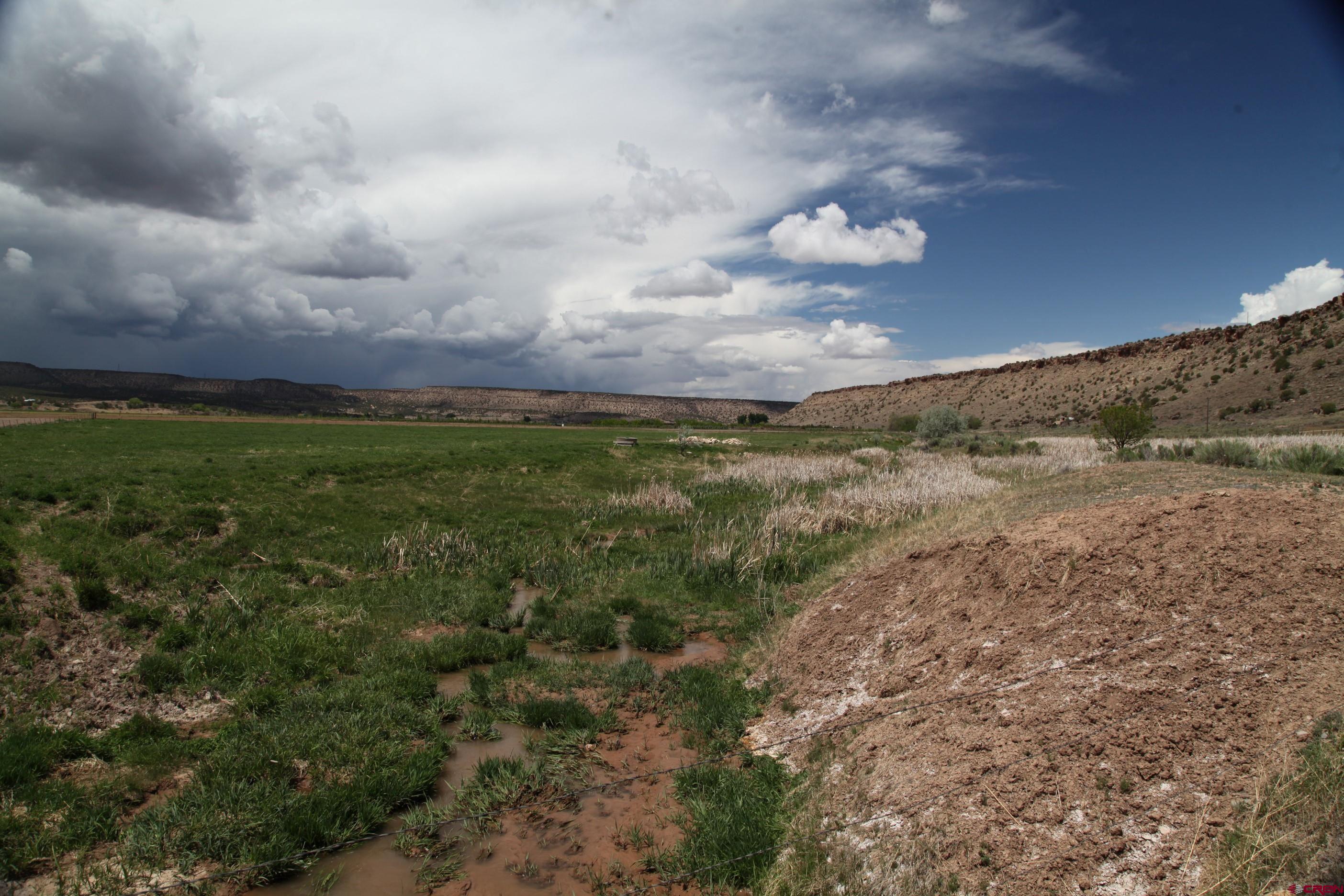 Lot 3 Red Wall Shavano Valley Road Montrose, CO 81403 - Photo 3 of 5 a view of a big yard next to a yard