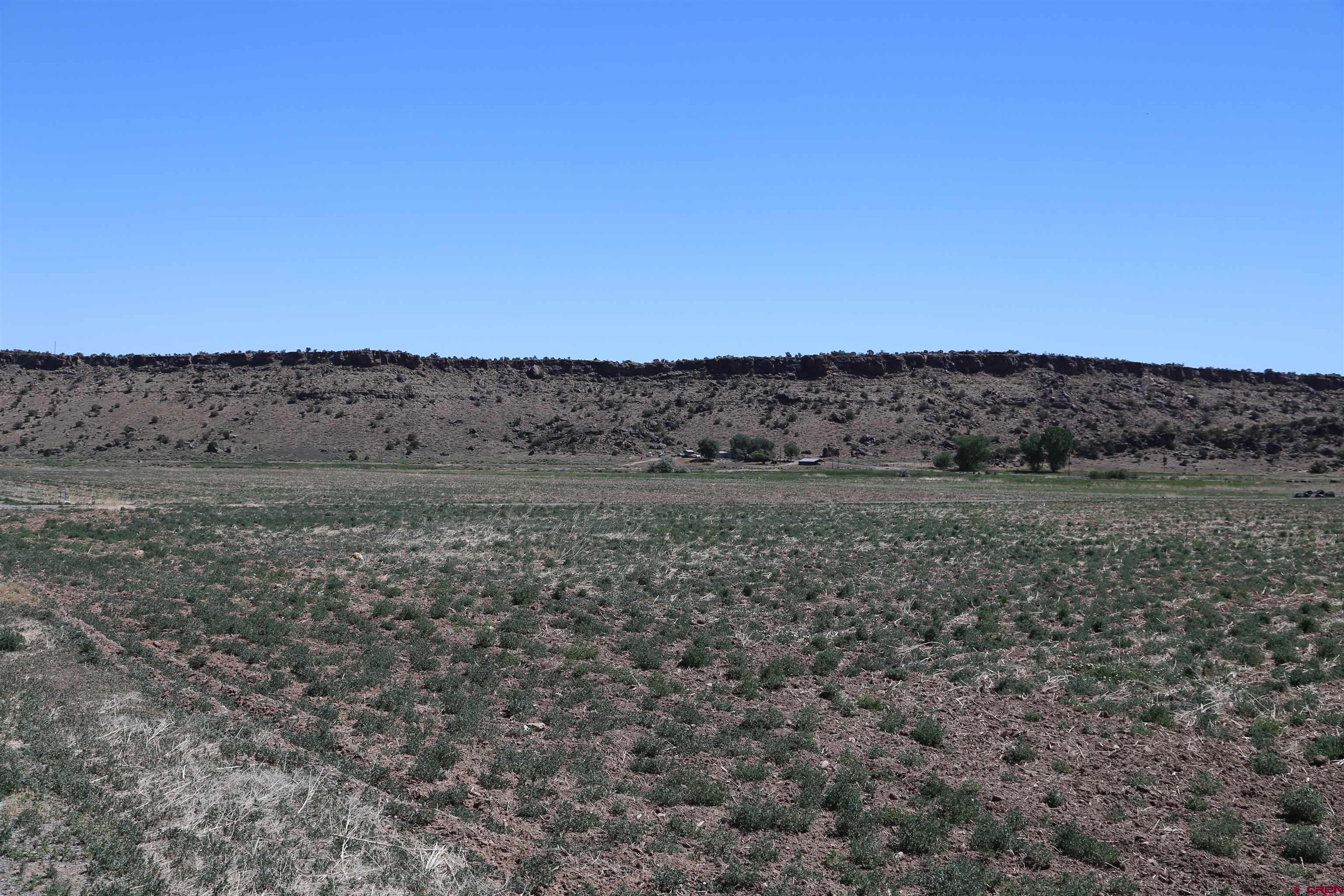 Lot 3 Red Wall Shavano Valley Road Montrose, CO 81403 - Photo 5 of 5 a view of a dry grass field