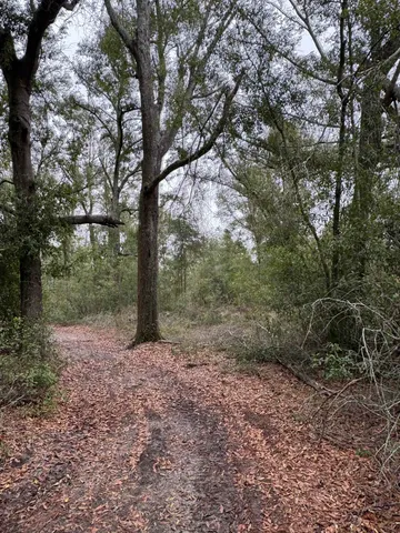 $65,000 | 1 East Us 90 Highway, Lee, FL 32059