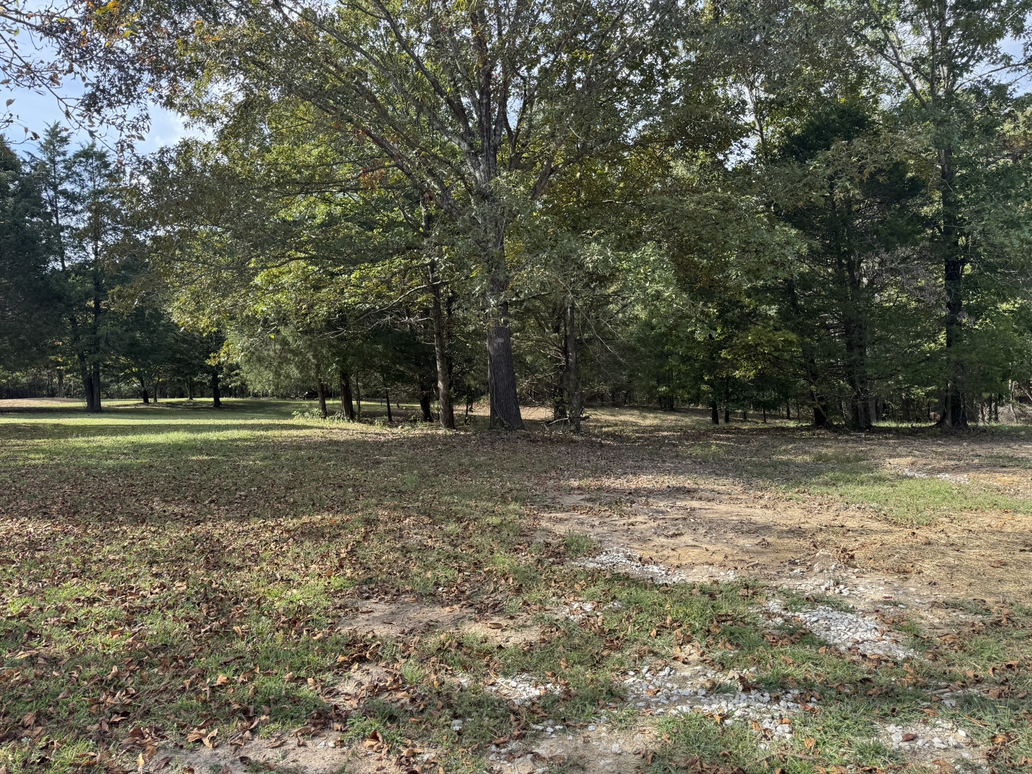 10045 Buckner Ridge Road Bon Aqua, TN 37025 - Photo 26 of 27