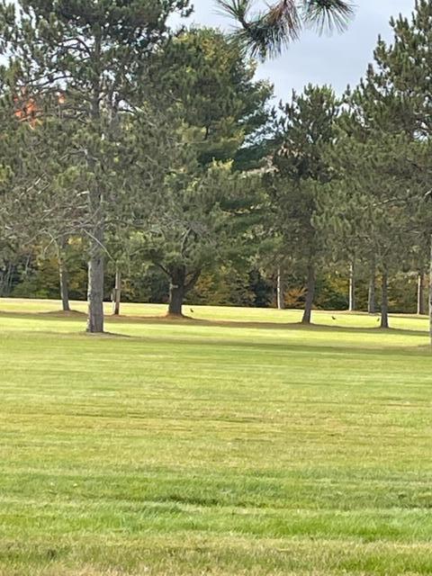 Lot 11 Golf Course Road Newport, ME 04953 - Photo 2 of 2 IMG_5569