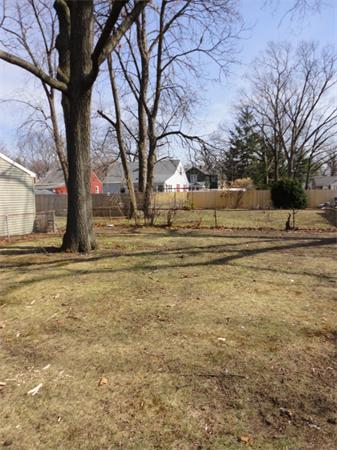 21 Anne Street Springfield, MA 01104 - Photo 5 of 27 a view of road with large trees